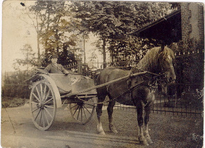 Pferd mit Wagen