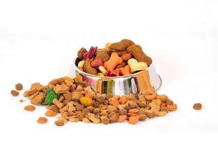 Hundefutter