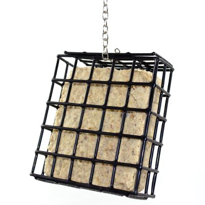 Pfiffikus Vogel-Buffet Spenderbox 10x1