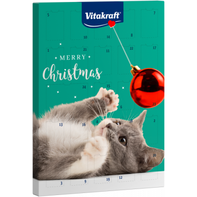 Adventskalender für Katze