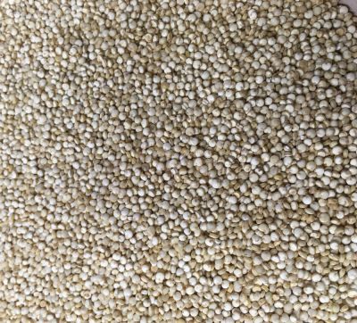 Quinoa weiß - BIO 5 kg