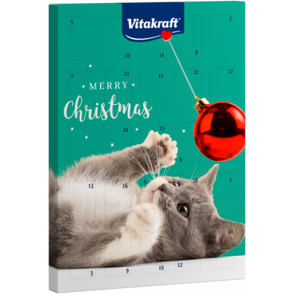 Adventskalender für Katze
