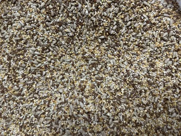 Backsaat Fünfkornmix - 25 kg BIO – Mühle Schlingemann