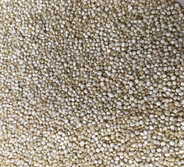 Quinoa weiß - BIO 500g