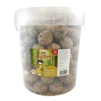 Pfiffikus Meisenknödel 100 Stück im Eimer