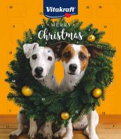 Adventskalender Hund
